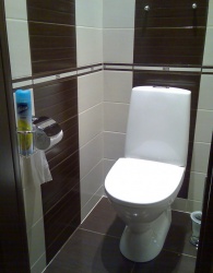 Ремонт и отделка туалета: wc дизайн санузла туалета . Шоколадный цвет.