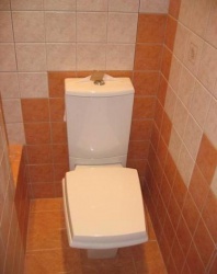 Ремонт и отделка туалета: дизайн санузла туалета WC.