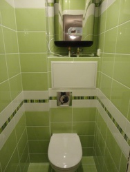 Ремонт и отделка туалета: дизайн санузла туалета ШК-салатовый.