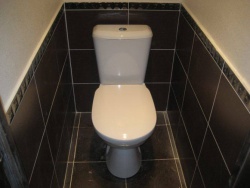 Ремонт и отделка туалета:  дизайн туалета в строгом  стиле.