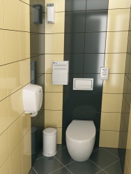 Ремонт и отделка туалета: стильный дизайн туалета WC.